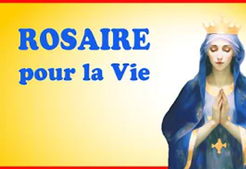 Image de l’événement "Rosaire pour la Vie en direct sur la chaîne NDML!"